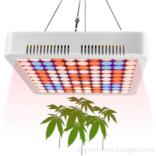 Full spectrum led grow light panel 600W
